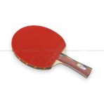 8A-C Double Fish Professional Table Tennis Racket – 8A-C Long Handle - Image 2
